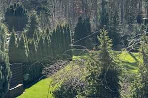 Einfamilienhaus in Wandlitz/ Ortsteil Stolzenhagen – Barnim (Kreis) – Vorschaubild 14