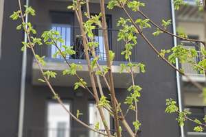 stilvolle 2RaumDG-Wohnung, Balkon, teilmöbliert, Einbauküche, bahnhofsnah – Die vollständige Adresse der Immobilie erhältst du vom Anbieter., 99084 Altstadt, Erfurt – Vorschaubild 9