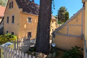 Historisches Gutsarbeiterhaus // Kleines Haus, großer Garten // Idylle in Kaitz