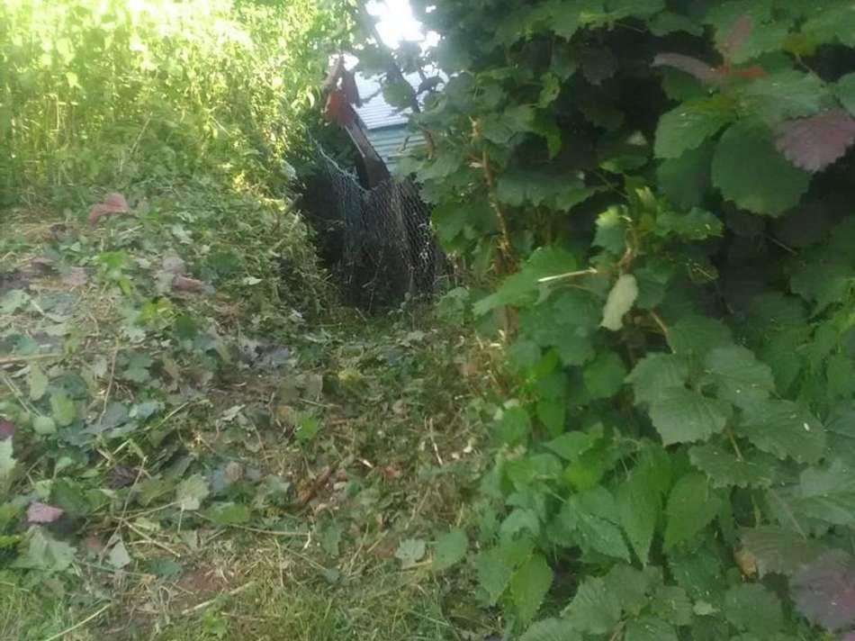 Garten3