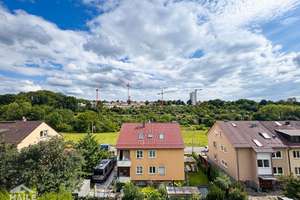 Property thumbnail 17