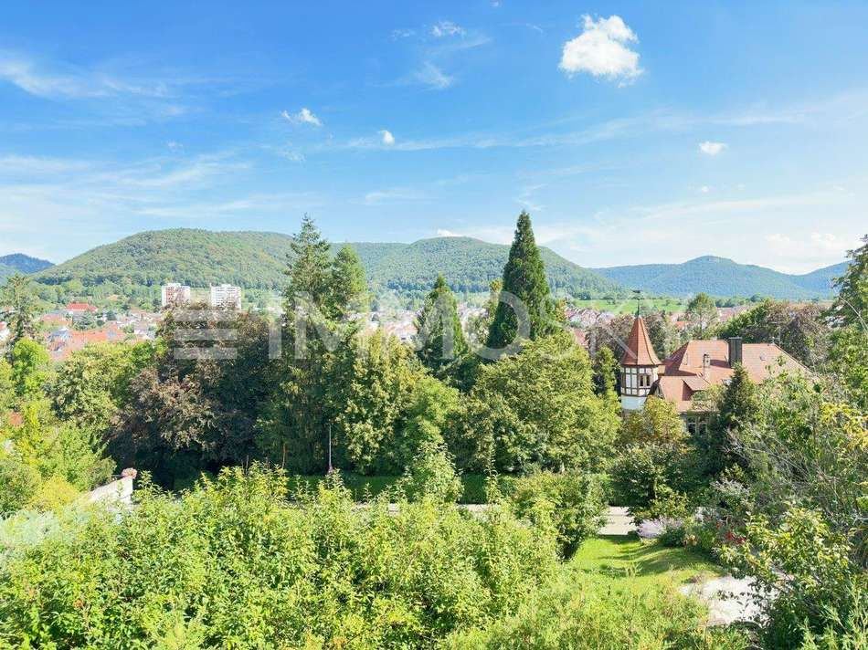 Blick vom Grundstück