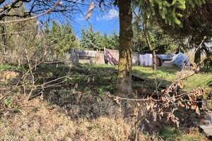 Wohnhaus in Wickerode zu verkaufen – An der Nasse 43, 6536 Wickerode – Vorschaubild 15
