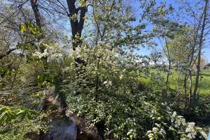 NEUBAU-Doppelhaushälfte mit wohnlich ausgebautem Souterrain und großem Garten – Reigersbachstraße 22a, 80995 Lerchenau-West, München – Vorschaubild 11