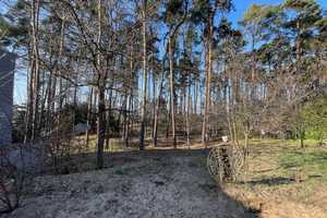 *** Neuwertiger Bungalow mit großem naturbelassenem Grundstück *** – Lüneburg (Kreis) – Vorschaubild 18