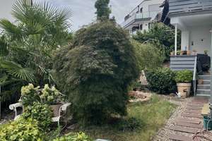 Neuwertiges 5 Familienhaus mit Ladenlokal – 68259 Feudenheim, Mannheim – Vorschaubild 4
