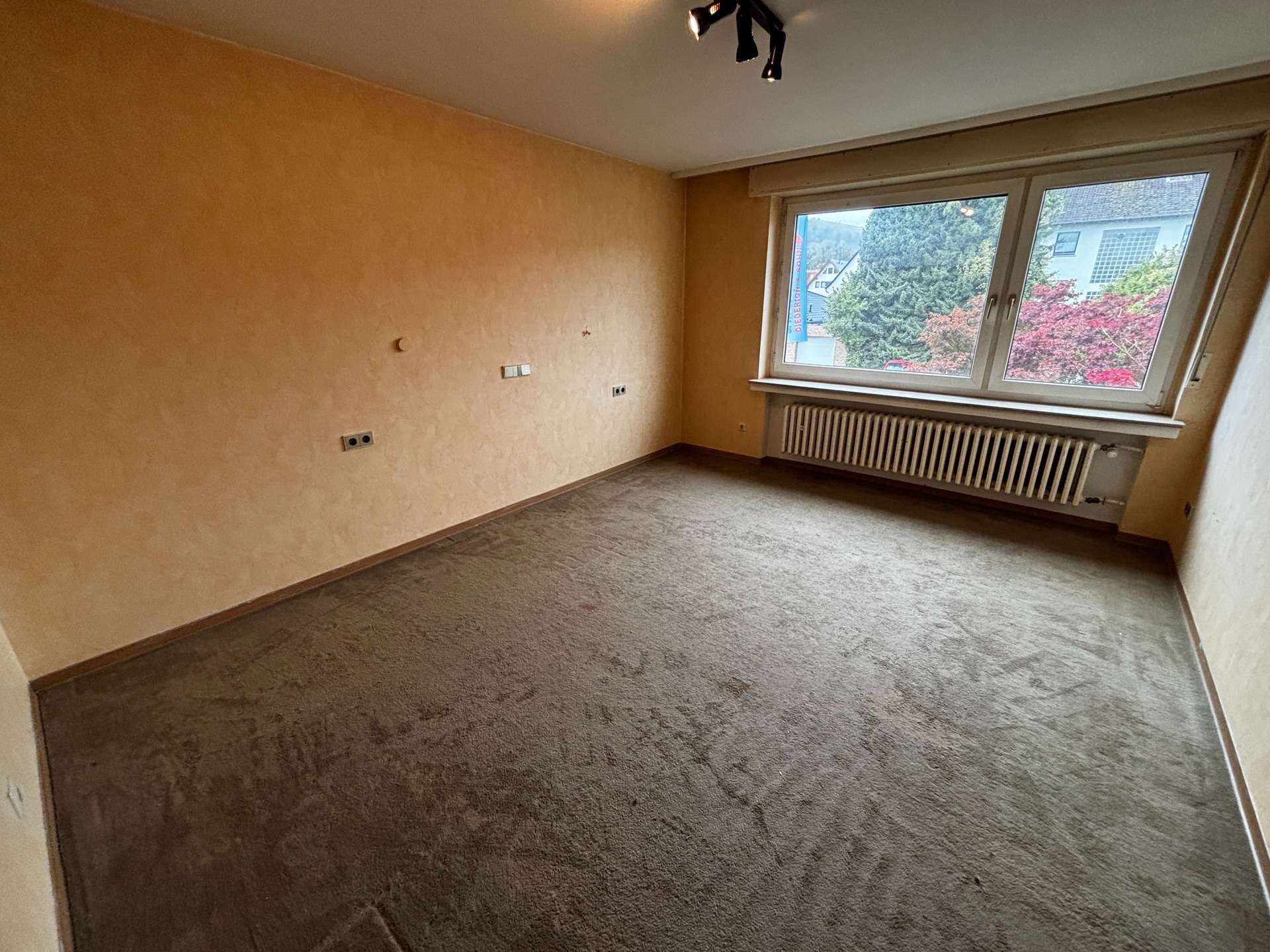 Immobilie in Beverungen - Massives Einfamilienhaus mit Garten und Garagen in Beverungen - Bild 8