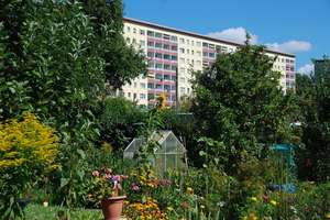 Balkonwohnung nahe Zeisigwald – Bersarinstr. 34, 9130 Yorckgebiet, Chemnitz – Vorschaubild 2