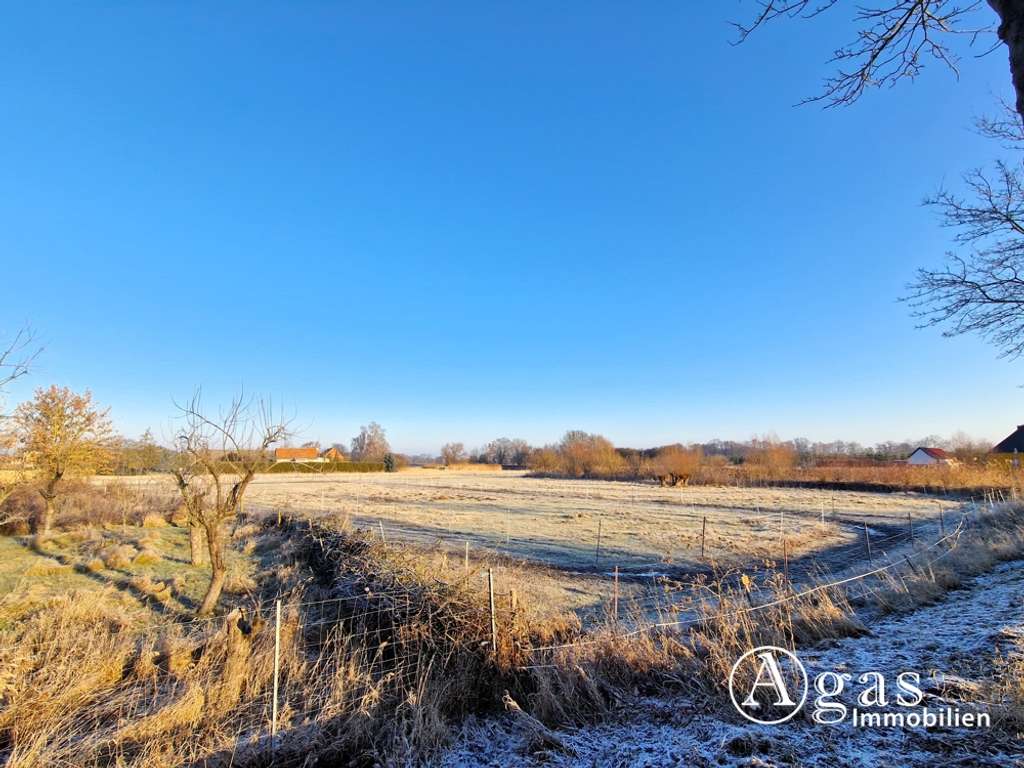 Immobilie in Küstriner Vorland - Modernisiertes Landhaus mit Scheune und Nebengebäuden auf fast 2 Hektar großem Grundstück - Bild 2