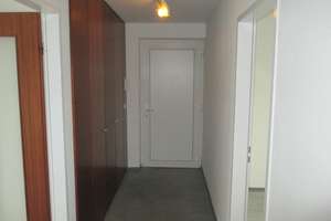 3 Raum-Wohnung mit großem Balkon (WBS erforderlich) – Haldenstraße 32, 45327 Katernberg, Essen – Vorschaubild 7