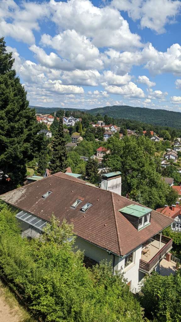 Immobilie in Lindenfels - Wohnen wie ein Burgherr - 4 Parteien, für Kapitalanleger oder Eigennutzer - Bild 2