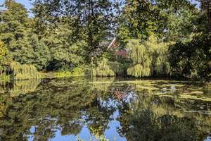 Property thumbnail 16