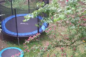 Geniale Lage - 120 Meter von der U-Bahn, 400 Meter vom Flauchersteg, 900 Meter vom Tierpark – Die vollständige Adresse der Immobilie erhältst du vom Anbieter., 81397 Thalkirchen, München – Vorschaubild 3