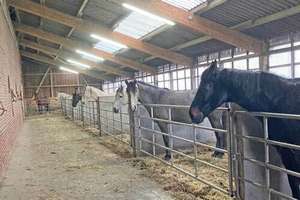 Niedersachsen, Landkreis Cuxhaven, Wurster Nordseeküste - Gutshof, Reitimmobilie mit Stallungen – Die vollständige Adresse der Immobilie erhältst du vom Anbieter., 27637 Nordholz – Vorschaubild 5