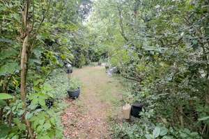 Helle 4-Zimmer-Wohnung von privat im ruhigen Paulusviertel mit eigenem Garten – Hobrechtstraße 12, 64285 Bessungen, Darmstadt – Vorschaubild 3