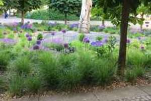 Property thumbnail 17