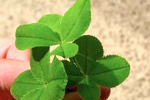 Property thumbnail 44