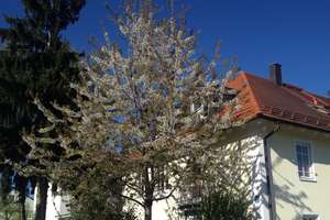 Top Möbliert / Fully furnished: Elegante 3-Zi-Gartenwohung, WLAN, Home Office, TG-Stellplatz – Die vollständige Adresse der Immobilie erhältst du vom Anbieter., 81827 Waldtrudering, München – Vorschaubild 20