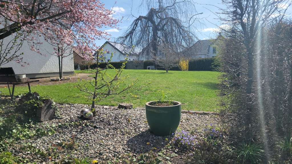 Immobilie in Sontheim an der Brenz - Einfamilienhaus mit großem Garten und Doppelgarage in zentraler Lage von Sontheim an der Brenz - Bild 3