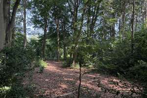 So sehen Träume aus! Imposante Villa auf  9.775 m² parkähnlichem Grundstück und eigenem Wald. – Amtsdamm 65, 27628 Hagen im Bremischen – Vorschaubild 16
