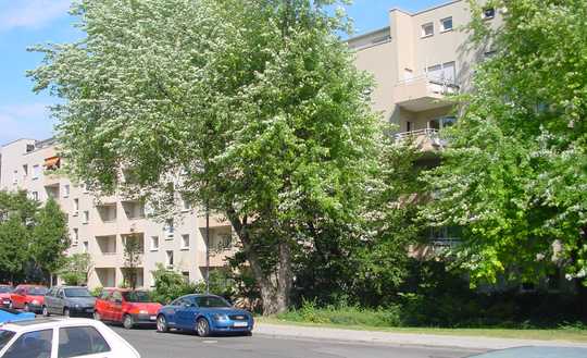 Charmante Eigentumswohnung in Lu-Süd (provisionsfrei!)