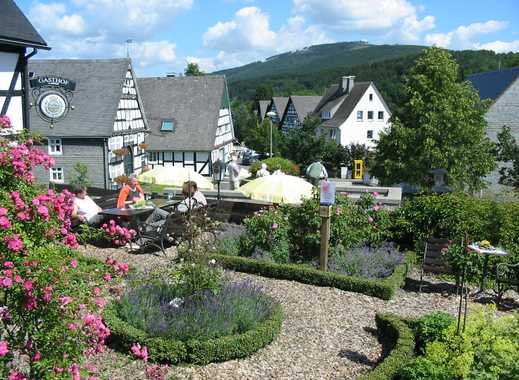 36 HQ Images Haus Kaufen Olsberg / Kaminofen kaufen - günstige Kaminöfen | kamdi24