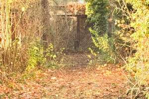 Reihenendhaus - Leben in guter Lage mit super Anbindung in Dessau-Roßlau – Die vollständige Adresse der Immobilie erhältst du vom Anbieter., 6849 Haideburg, Dessau-Roßlau – Vorschaubild 39