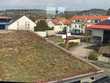 Arbeiten mit Blick auf die Umstädter Weinberge, viel Platz und Möglichkeiten