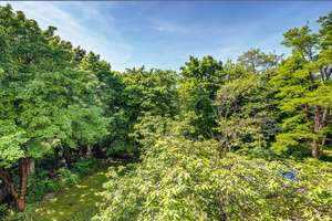 Möbliert: Sonniges Apartment zur ruhigen Gartenseite ausgerichtet  – Leopoldstraße 251, 80807 Milbertshofen, München – Vorschaubild 14