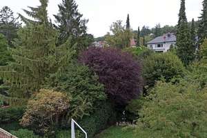 S-Frauenkopf: Helle, ruhige 2 Zi.-DG-Whg., ca. 70 qm Wfl., Loggia, EBK, Waschtrockner, Pkw-Platz – Die vollständige Adresse der Immobilie erhältst du vom Anbieter., 70184 Frauenkopf, Stuttgart – Vorschaubild 1