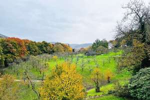 Charmantes Familienrefugium am Leisberg in Baden-Baden – Die vollständige Adresse der Immobilie erhältst du vom Anbieter., 76530 Lichtental mit Oberbeuern und Geroldsau, Baden-Baden – Vorschaubild 17