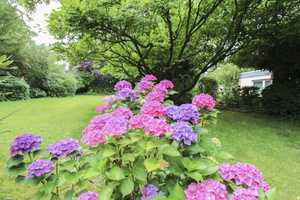 Begehrt! Bungalow mit Gartenoase im BI-Westen - wohnen auf einer Ebene – Bielefeld – Vorschaubild 11