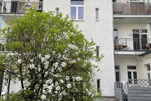 gemütliche 4 Zimmerwohnung mit Balkon und Einbauküche in Leipzig Lindenau – Angerstraße 39, 4177 Leipzig – Vorschaubild 14