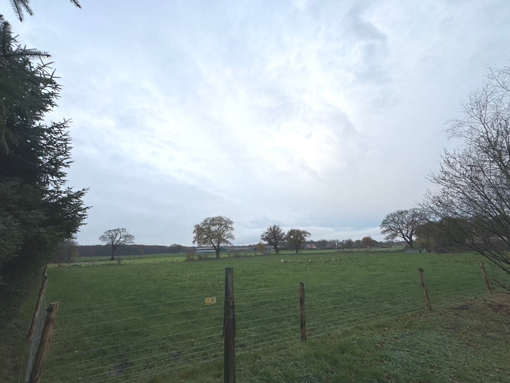 Immobilie in Zetel - Idyllische Lage im Einklang mit der Natur - Bild 4