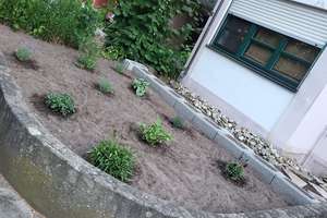 Zuhause mit 6 Zimmern und viel Platz in Fürth