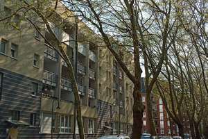 Ruhige 2-Zimmerwohnung, nur einen Katzensprung vom Hauptbahnhof – Eisenstraße 54, 40227 Oberbilk, Düsseldorf – Vorschaubild 13