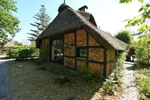 Reetgedecktes Bauernhaus auf herrlichem Grundstück – Die vollständige Adresse der Immobilie erhältst du vom Anbieter., 26125 Ofenerdiek, Oldenburg (Oldenburg) – Vorschaubild 4