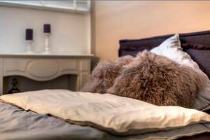Möbliert: Designerwohnung mit wunderschönem Schnitt – Die vollständige Adresse der Immobilie erhältst du vom Anbieter., 80797 Neuschwabing, München – Vorschaubild 4