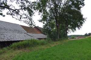 Naturliebhaber und Individualisten aufgepasst! – Landshut (Kreis) – Vorschaubild 6