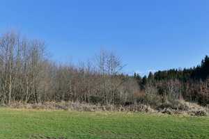 Ehemalige Hofstelle mit Tenne, incl. Baugenehmigung zusätzlicher Neubau 6 Familienhaus in Halfing – Rosenheim (Kreis) – Vorschaubild 43