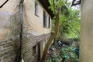 !!!SCHNÄPPCHEN-HAUS (5 Zi) auf 1.425 m² GRUNDSTÜCK in Spiekershausen!!! Himmlisch ruhig an der Natur – Göttingen (Kreis) – Vorschaubild 4
