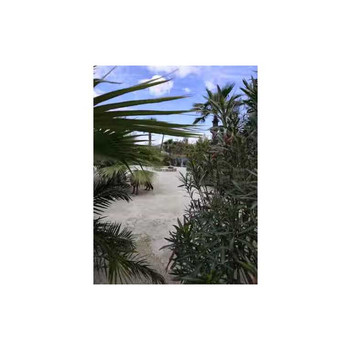 FINCA RÚSTICA CON OLIVOS Y EXPLOTACIÓN GANADERA.