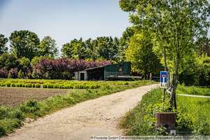 Gartenstudio in Junkersdorf – Sterrenhofweg 35, 50858 Junkersdorf, Köln – Vorschaubild 18