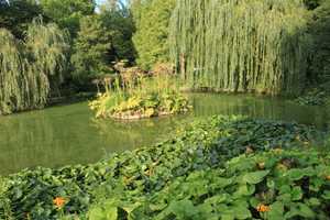 Property thumbnail 26