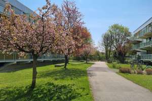 Property thumbnail 15