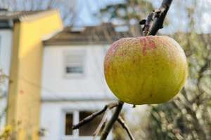 Property thumbnail 19