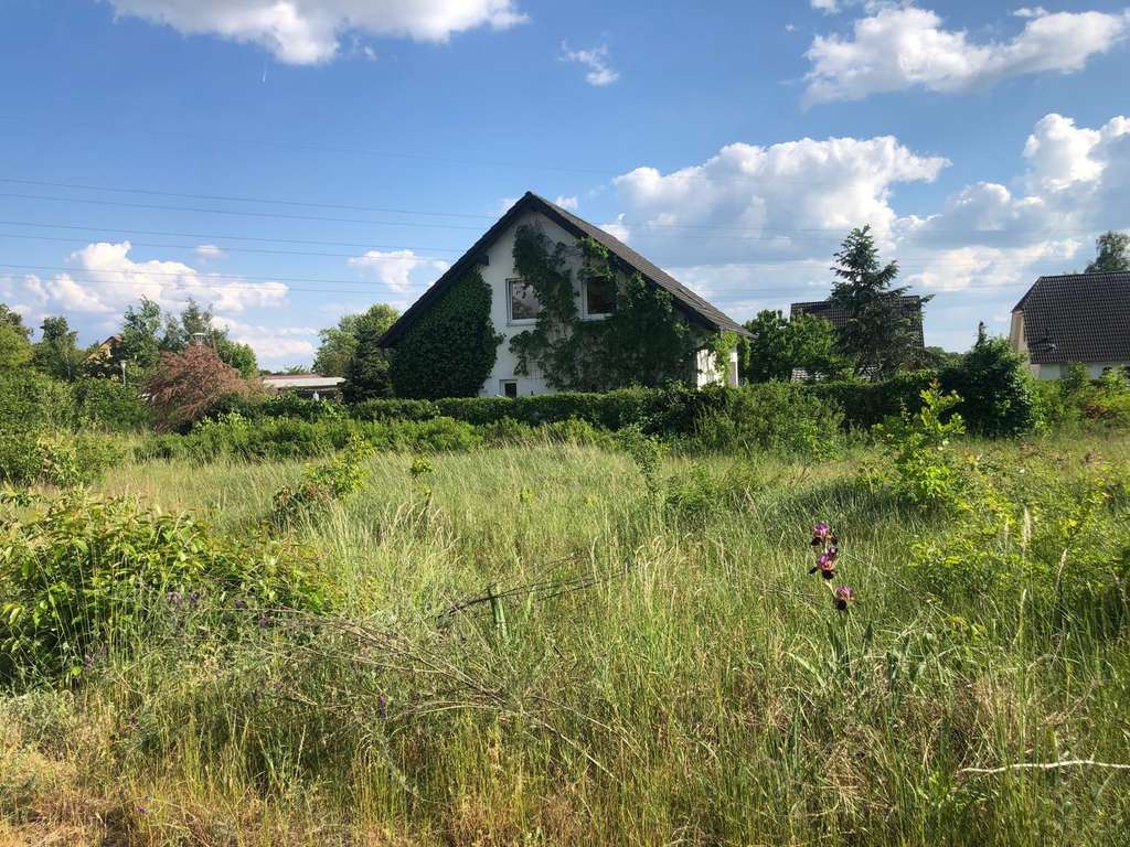 Immobilie in Beetzsee - Bauen in Brielow- Beetzsee - Bild 0