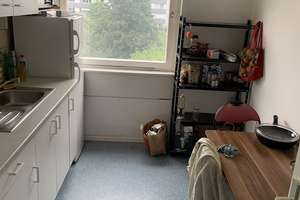 Helles Zimmer mit Balkon innerhalb einer 3er-WG // 2.OG links, Zimmer 0148 – Halberstädter Str. 24, 38444 Westhagen, Wolfsburg – Vorschaubild 9