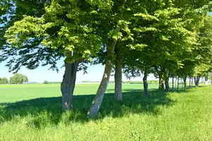 Eichenried: Wo Ihre Wohnträume Ihr Zuhause finden - Ihre eigene Doppelhaushälfte mit sonnigem Garten – Erding (Kreis) – Vorschaubild 14
