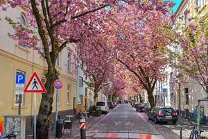 Premiumlage Bonner Altstadt – Wohn- und Geschäftshaus mit 4 WE + Gewerbe – Die vollständige Adresse der Immobilie erhältst du vom Anbieter., 53111 Nordstadt, Bonn – Vorschaubild 4
